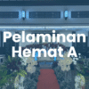 Dekor Pelaminan Hemat A (4m - 6m)