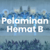Dekorasi Pelaminan Hemat B (8m-12m)